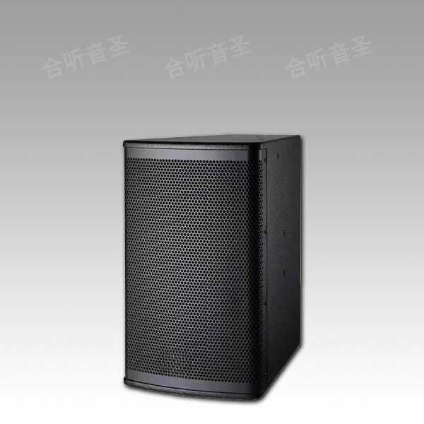 12寸会议音箱
