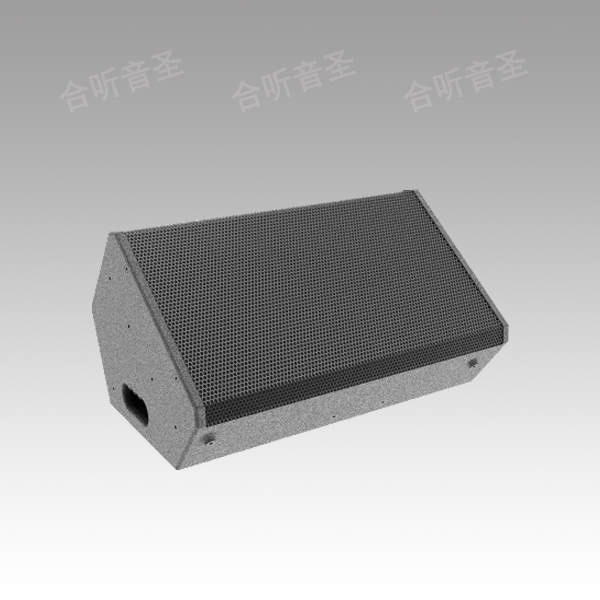 12寸会议音箱