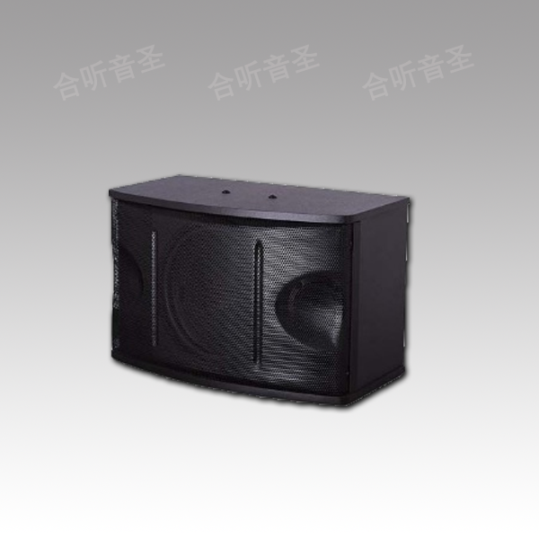 10寸卡包音箱