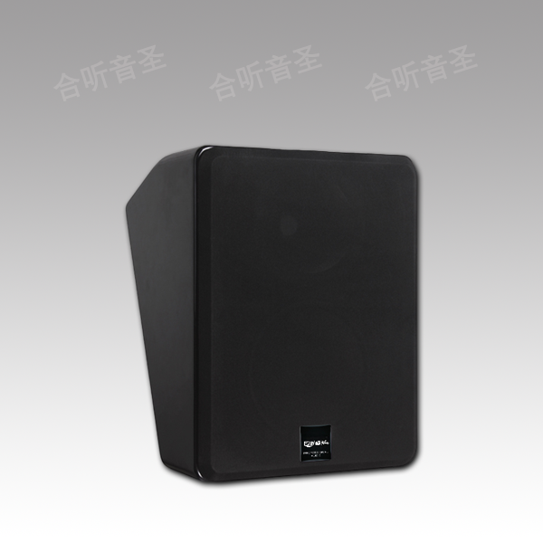 HT系列-影音音箱10寸